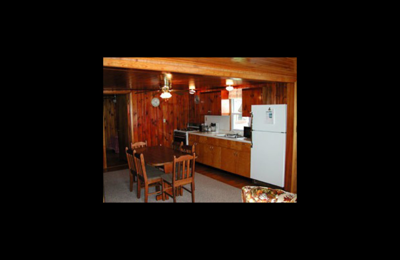 Cabin kitchen at Horseshoe Resort.