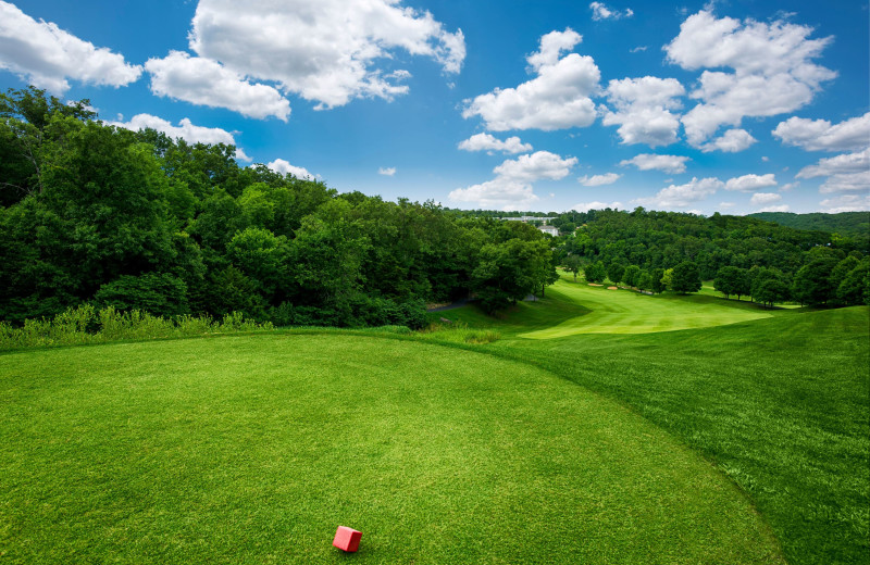 Golf at Thousand Hills Golf Resort.