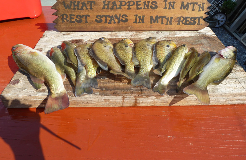 Fishing at Mountain Rest Cabins and Campground.