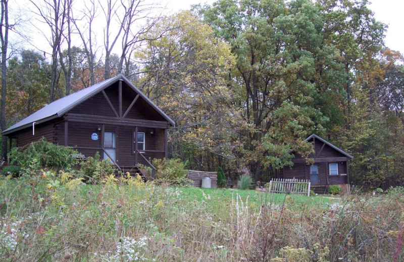 Log cabins at Sunset Ridge Log Cabins.