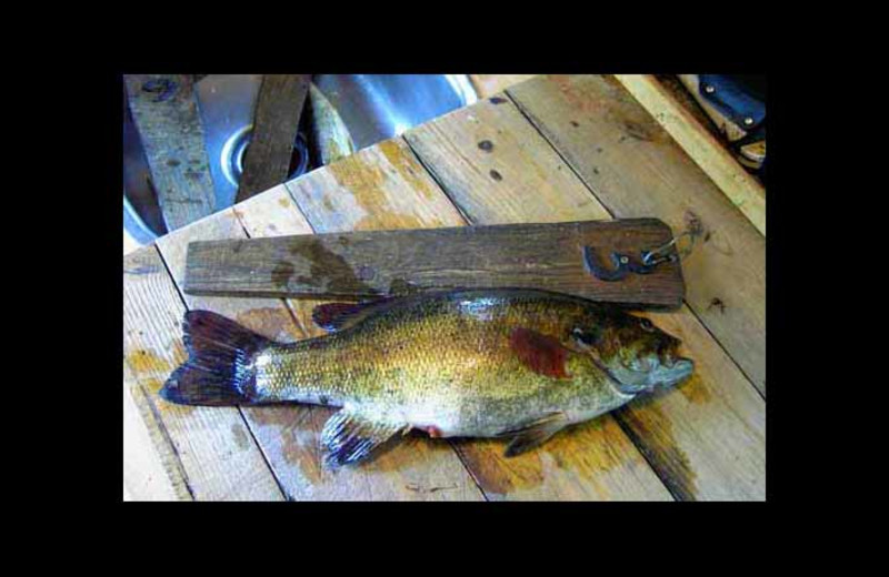 Fishing at Red Pine Wilderness Lodge.