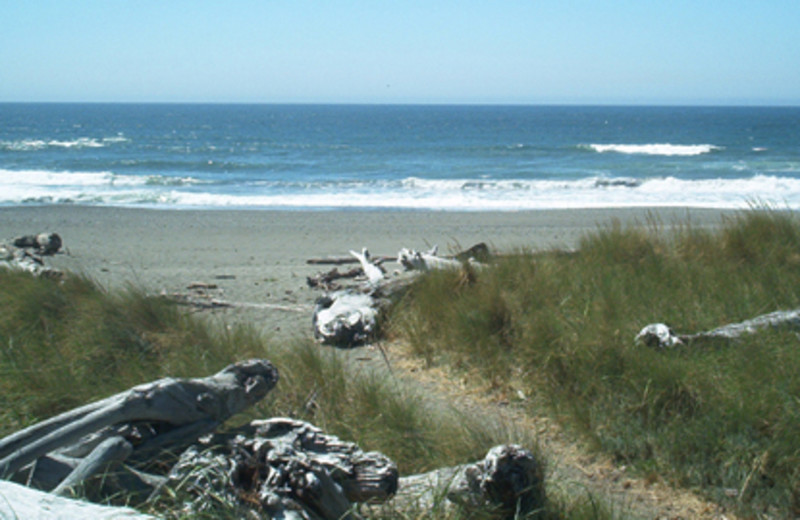 Beach View Near Inn of the Beachcomber