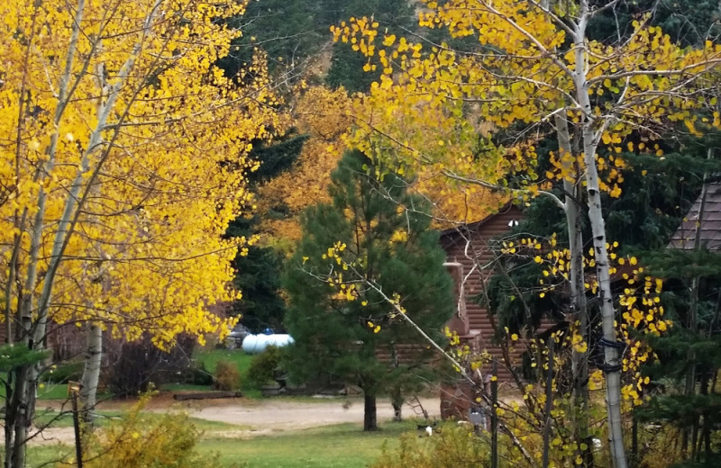 Exterior view of Glacier Lodge.