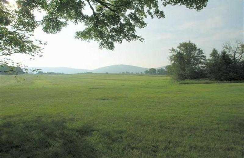 View from vacation rental at Best of Canaan.