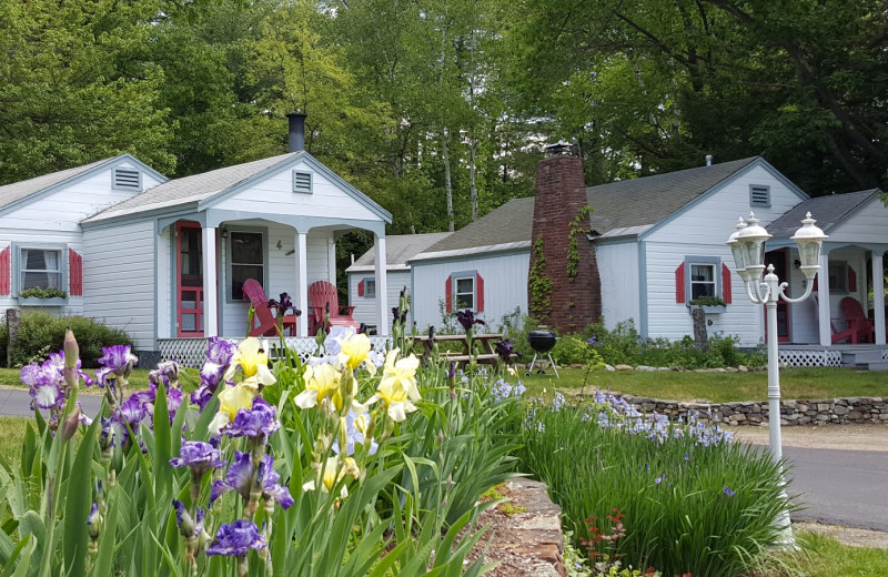 Cottages at Cottage Place on Squam Lake.