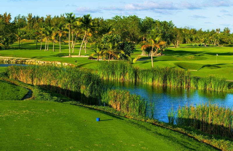 Golf Course at Barcelo Bavaro Beach