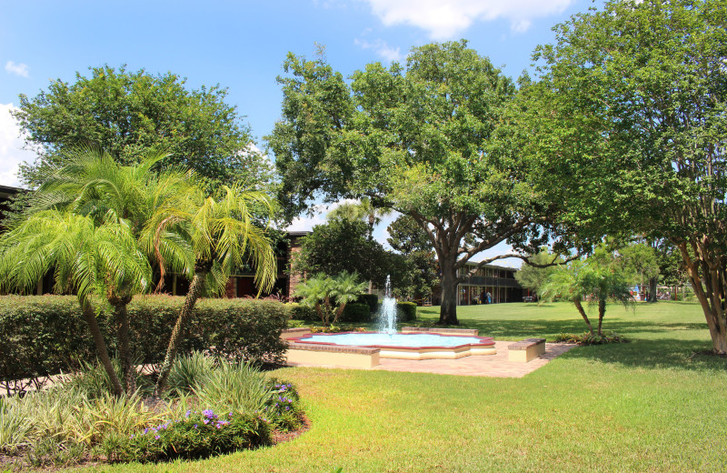 Courtyard at Rosen Inn International.