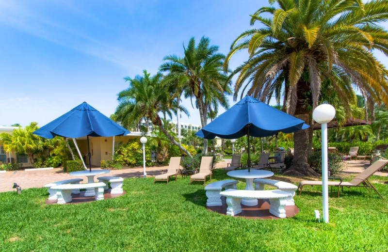 Picnic area at Tropical Shores Beach Resort.