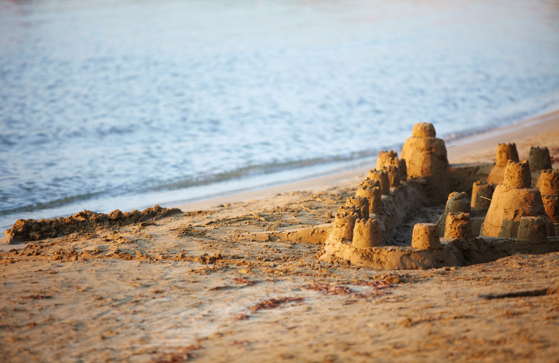 Beach near The Village At Indian Point Resort and Conference Center.