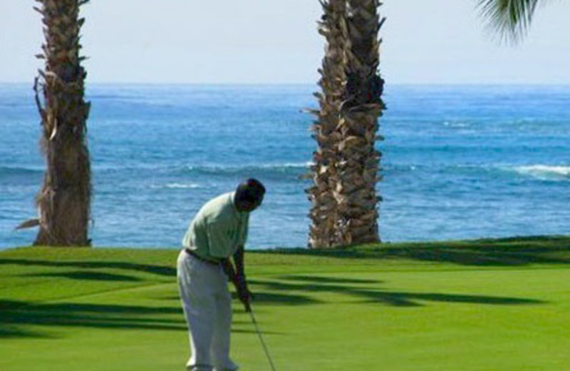 Golfing at Hola Grand Faro Los Cabos