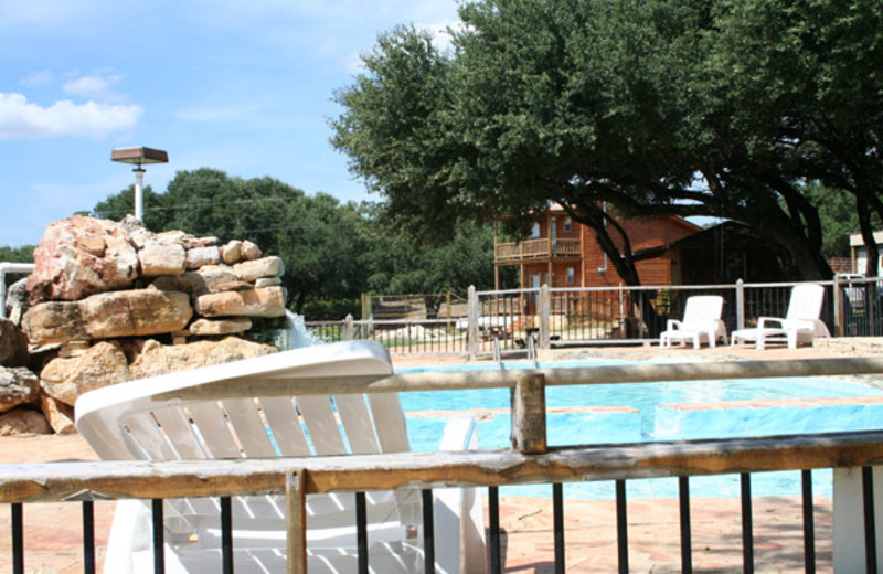 Swimming pool at The Exotic Resort Zoo.