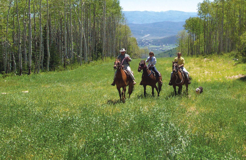 Horse back riding at Little Main Street Inn.