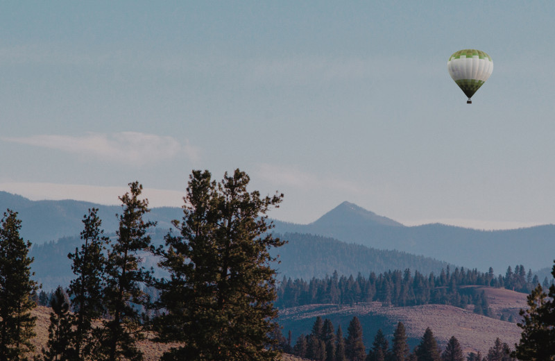 Hot air balloon at The Green O.