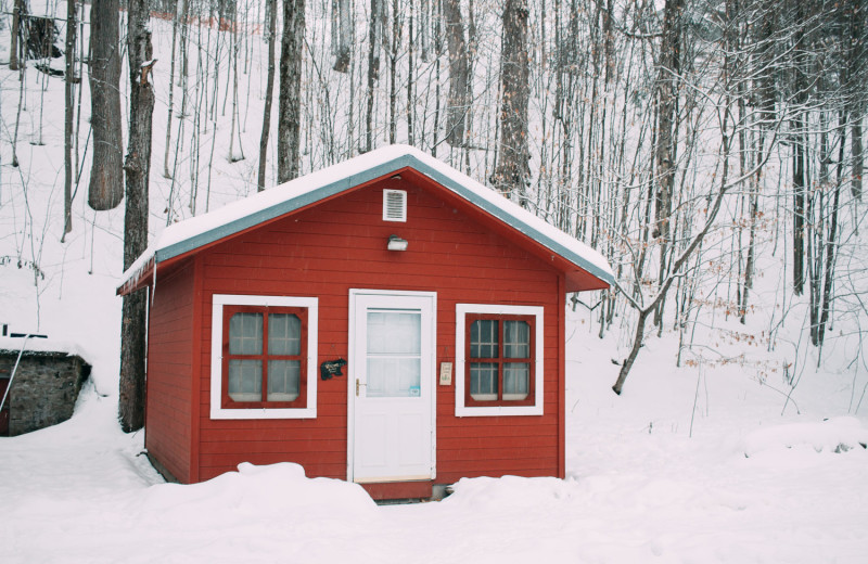 Wellnesste Lodge and Cabin Rentals