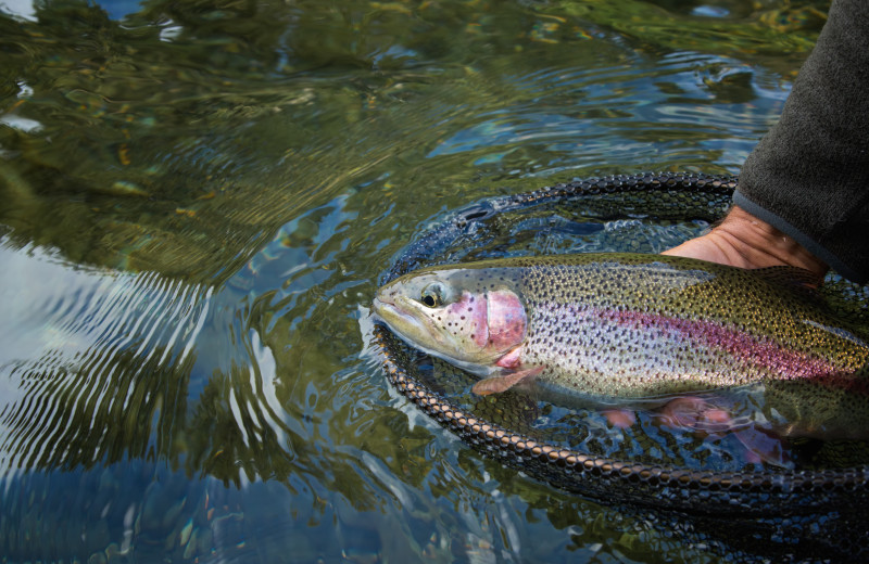 Fishing at Sunset Farm Cabins.