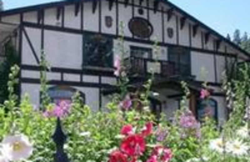 black forest lodge and breakfast