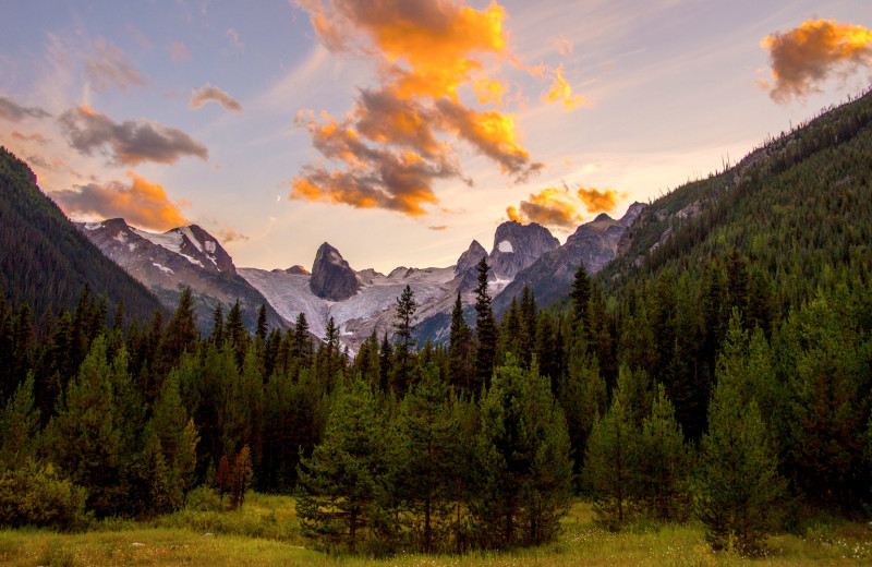 Summer at Bugaboos Lodge.