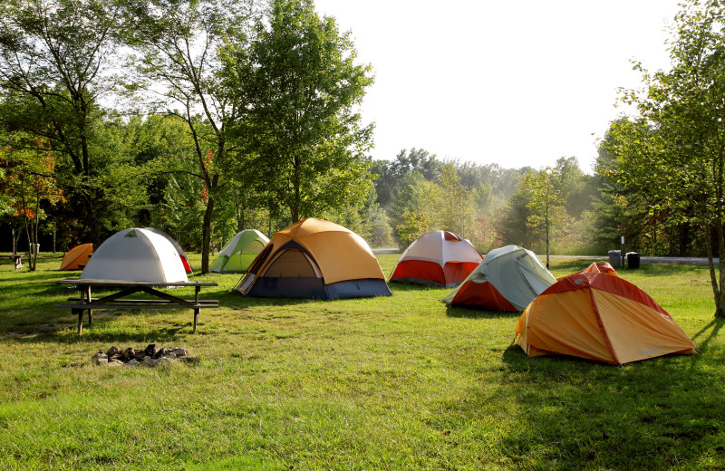 Tents at ACE Adventure Resort.