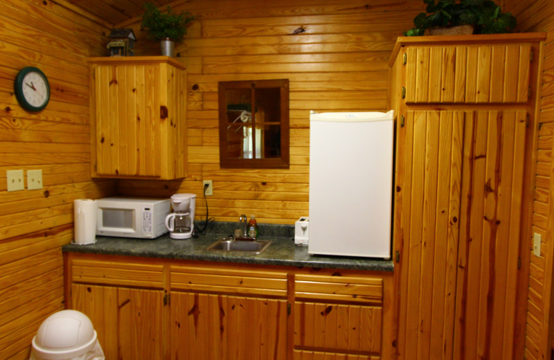 Cabin kitchen at Ozark Cabins.