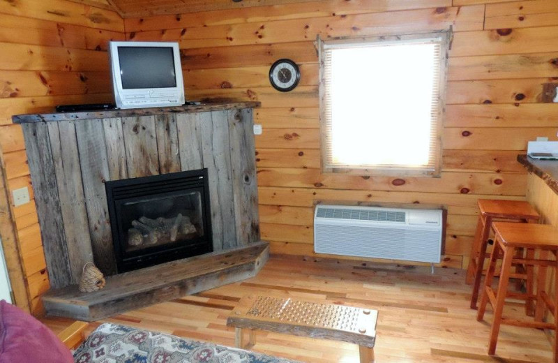 Interior Cabin View of Treehouse Cabins