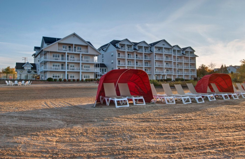 Beach chairs at The Cherry Tree Inn & Suites.