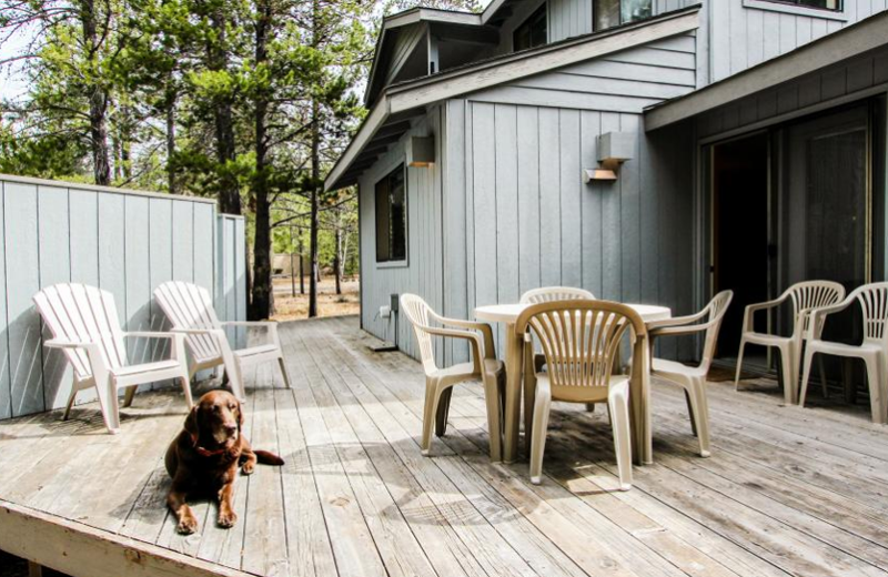 Pet friendly accommodations at Vacasa Rentals Eagle Crest.