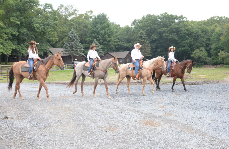 Horseback Riding at Malibu Dude Ranch