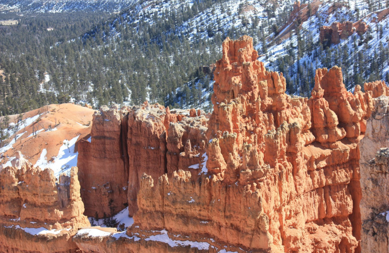 Bryce Canyon National Park near Anniversary House.