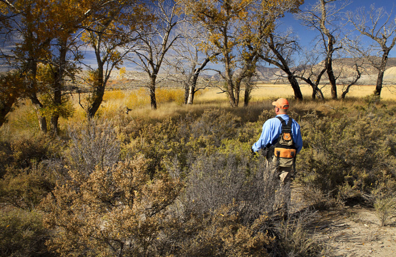 Hunting at Castle Valley Outdoors.