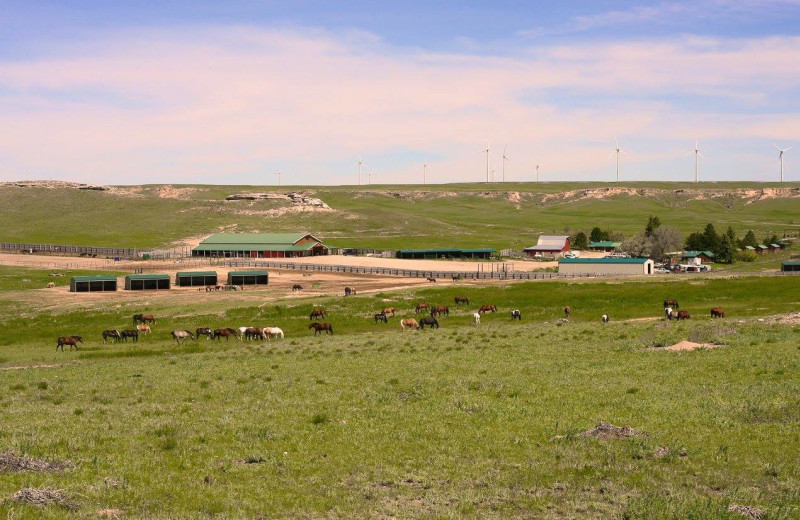 Exterior view of Colorado Cattle Company Ranch.