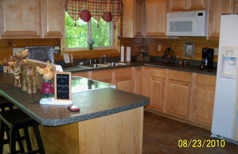 Cabin kitchen at Cabins in Hocking.