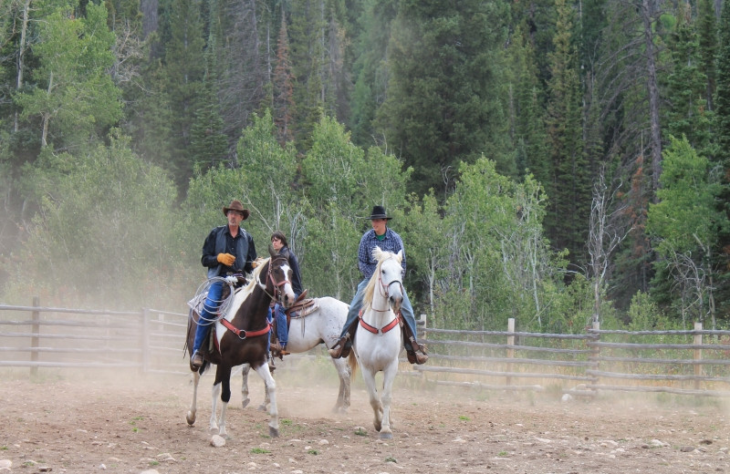 Horseback riding at Medicine Bow Lodge.