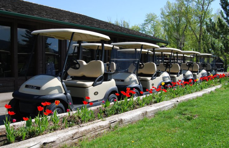 Golf carts at Fairmont Hot Springs Resort.