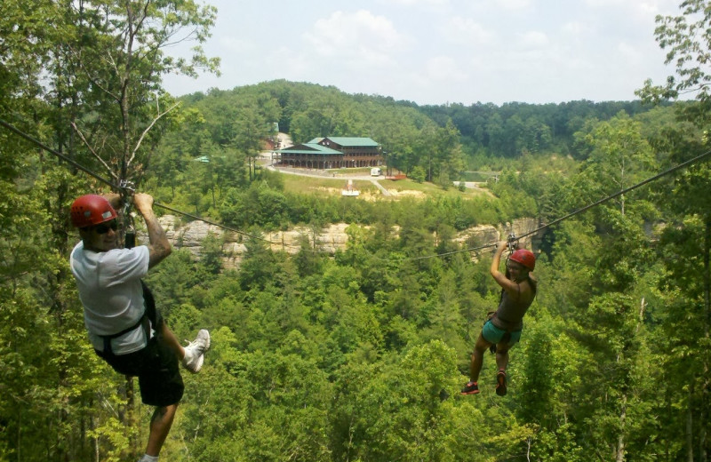 Adventure ropes at Cliffview Resort.