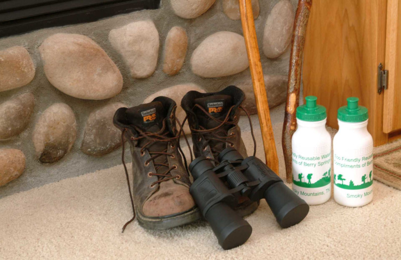 Hiking boots, walking sticks, water bottles and binoculars at Berry Springs Lodge.