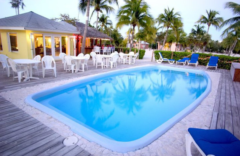 Outdoor pool at Southern Cross Club & Dive Resort.