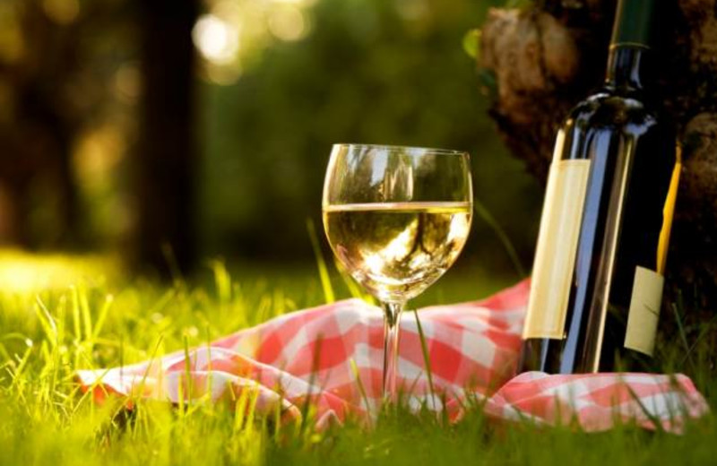 Wine and dine tours at The Bergson.