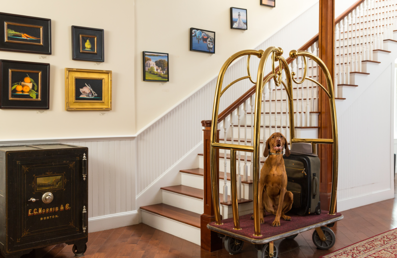 Pets welcome at Lord Camden Inn.