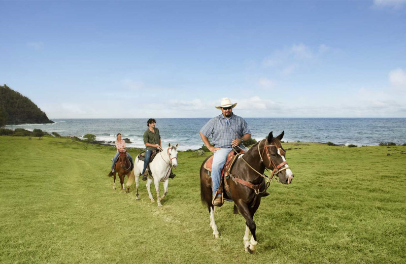 Horseback riding at Travaasa Hana, Maui.