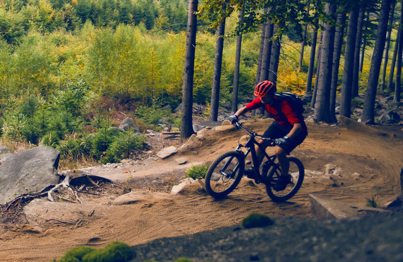 Biking at Jackson Hole Lodge.