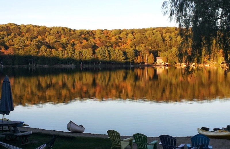 Lake view at Ogopogo Resort.