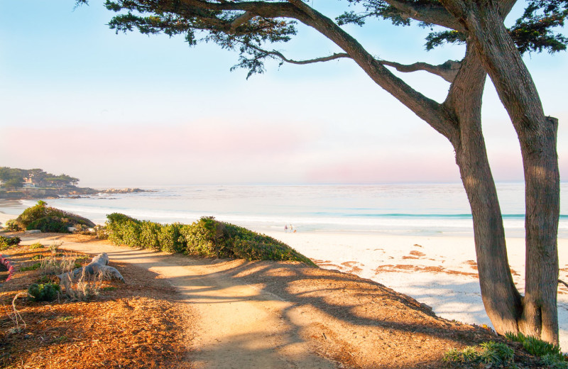 Take in the ocean air under a Cypress tree... 