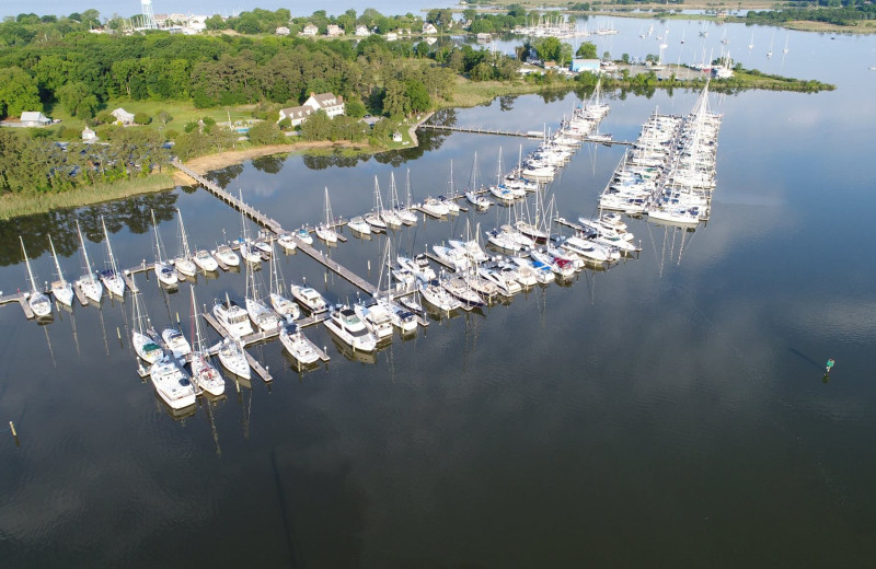 Marina at Osprey Point.