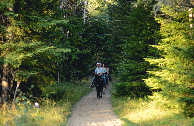 Horseback riding at Falcon Beach Ranch.