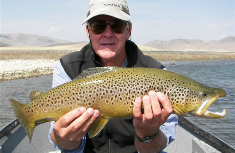 Fishing at Montana High Country Lodge.