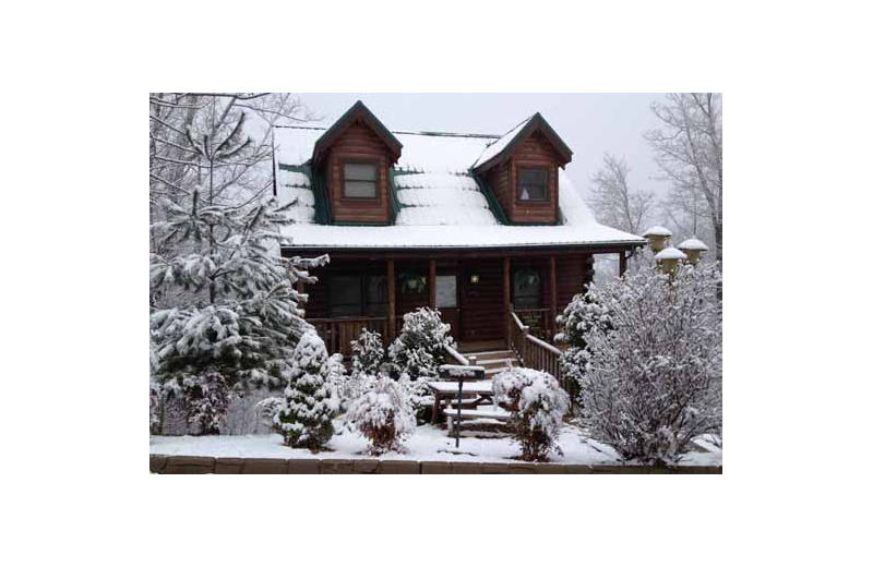 Exterior view of American Patriot Getaways - A Tree Top Lodge.