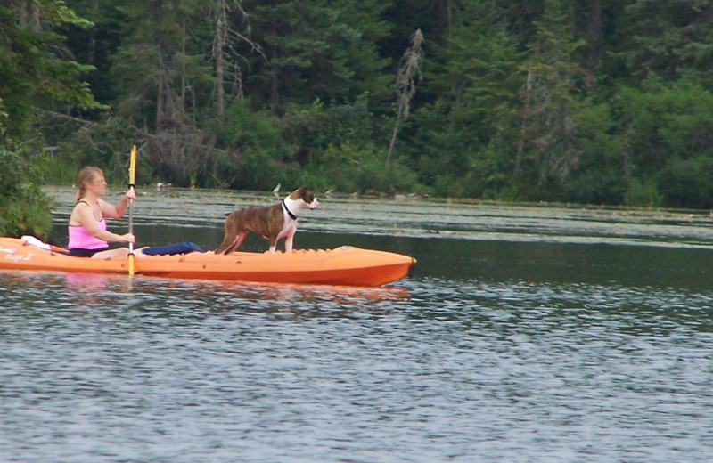 Pets welcome at White Birch Village Resort.