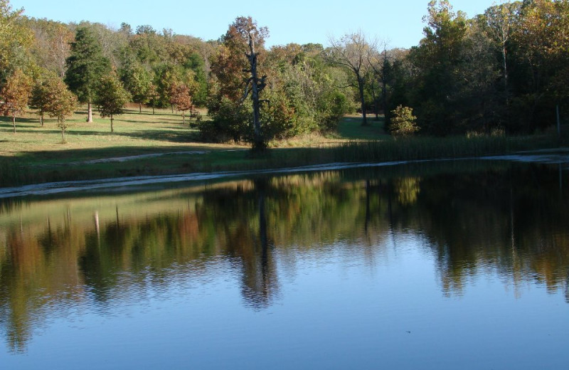 Lake view at Ozark Cabins.