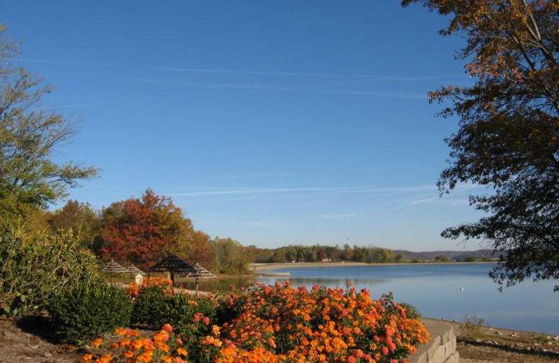 Lake view at Fourwinds Resort & Marina.