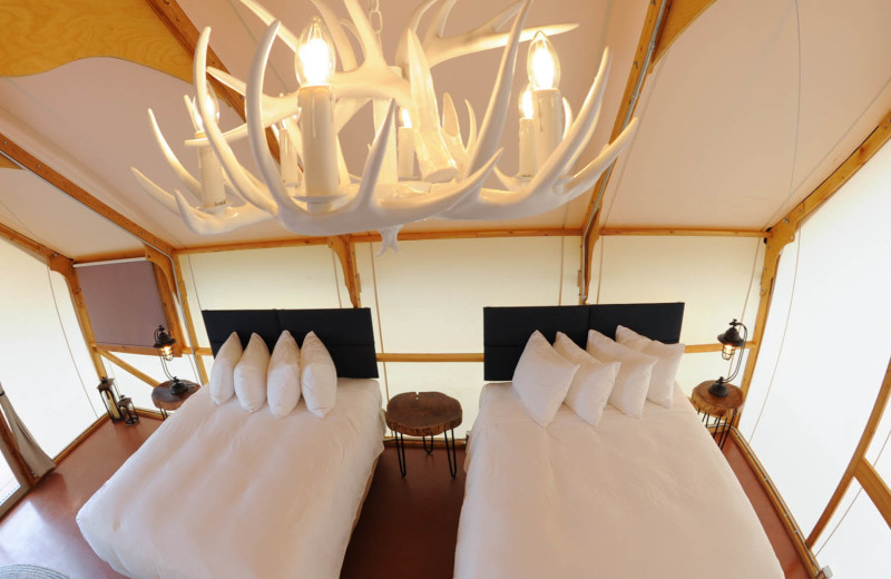 Tent beds at Royal Gorge Cabins. 